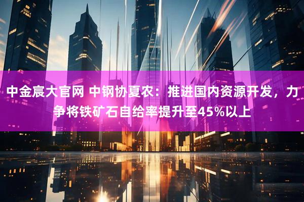 中金宸大官网 中钢协夏农：推进国内资源开发，力争将铁矿石自给率提升至45%以上