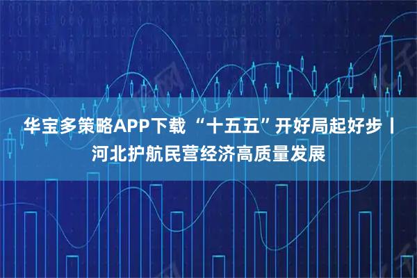 华宝多策略APP下载 “十五五”开好局起好步丨河北护航民营经济高质量发展