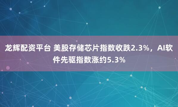 龙辉配资平台 美股存储芯片指数收跌2.3%，AI软件先驱指数涨约5.3%
